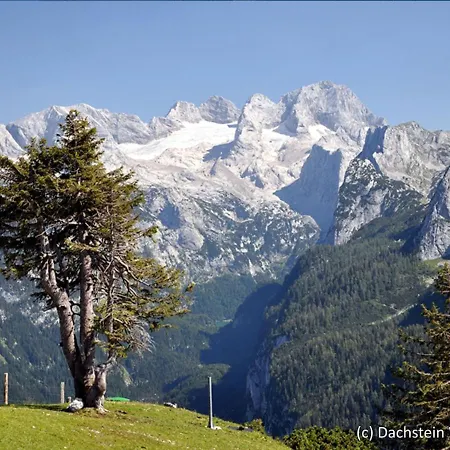 Holiday Gamsblume * Annaberg im Lammertal